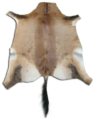 COWHIDESUSA Red Hartebeest skin - African Deer Skin - Deer Hide Rug - Antelope Rug
