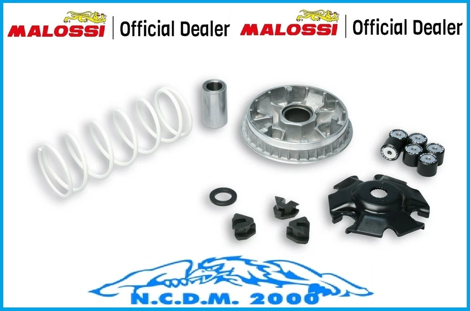 Malossi Multivar 2000 Variator Kymco People S 125 Ie 4T Euro 5 2021 - (TF25B) Foto 3 de 4