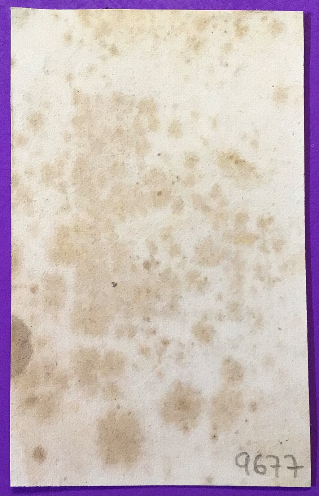 Picture 2 of 2