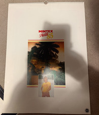 Vintage Mintex 1985 Calendar Pinup/Glamour Girls