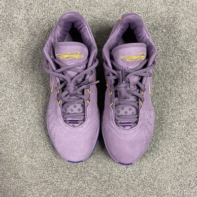 Nike Lebron 21 Purple Rain Violet Dust Basketball Shoes FV2345-500