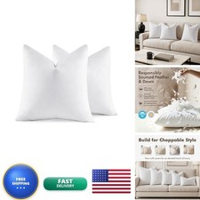 MIULEE 20x20 Pillow Inserts, Set 2 Feather Down Throw Pillows