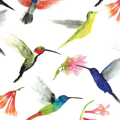 Carta tessuto stampa colibrì 500x750 mm inserzione multipla