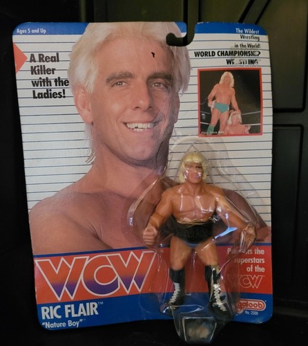  1990 WCW Wresteling Figures Galoob - Rick Flair ...