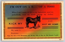 Vintage Humorous 'I'm Out on a H--- of a Time!' Donkey Postcard