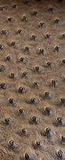 Brown ostrich faux vinyl Marine grade UV resistance waterproof Fabric