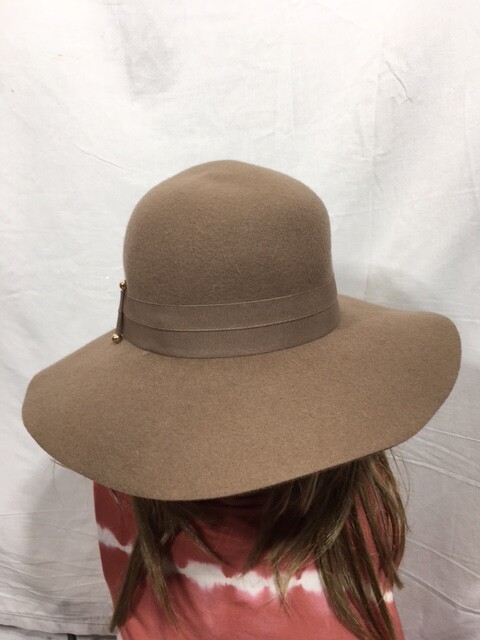 NWT Fedora hat s-l400.jpg main image 3