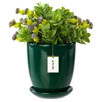 Blumentopf BlumenüBertopf FlaschengrüN Blumenschale Mit Untersetzer Rund H=16,5