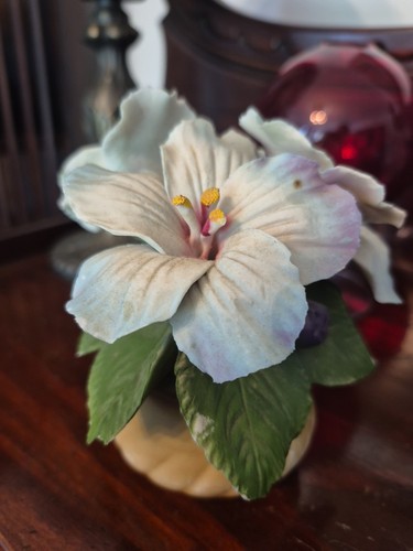 Vintage Capodimonte Porzellan weiße Hibiskusblüte Italien limitierte Beschädigung - Bild 5 von 6