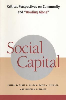 Social Capital: Critical Perspectives on Community and Bowling Alone by Scott L - Image 2