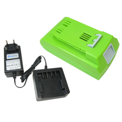 Set: Akku 24V 2Ah + Ladegerät kompatibel mit Greenworks 29807 29837 29842 29852