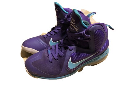 lebron 9 summit lake hornets