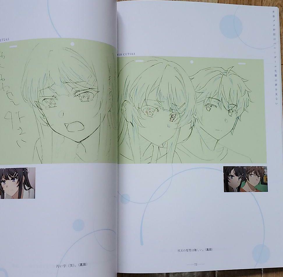 C97 Rascal Does Not Dream Seishun Buta yarou making art book anime manga