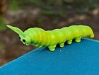Caterpillar Centipede Miniature 2.5" Pvc Figure