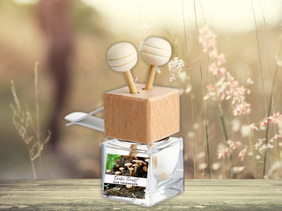 Nature & Earth Vent Car freshener Diffuser   Earthy, Forest & Outdoor-Inspired A