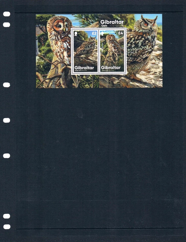$18.00 Scott Value - 2020 GIBRALTAR Owls s/s European Birds CV MNH NH UMM - Image 2 of 4