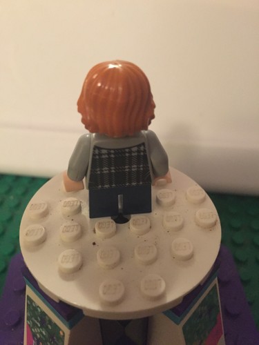 LEGO- HARRY POTTER & FANTASTIC BEASTS MINIFIGURES- YOU PICK FROM LIST- CHOOSE - Picture 276 of 331