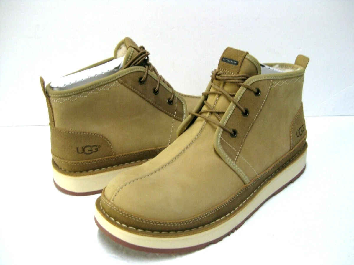 UGG Men
