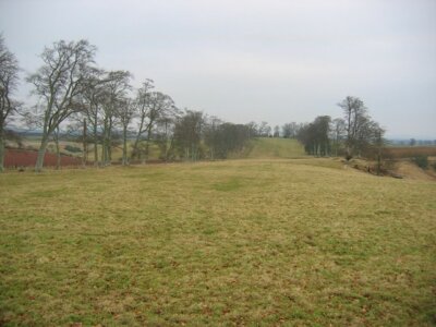 Photo 6x4 The avenue Marchmont Polwarth Halfway along the two kilometre  c2006