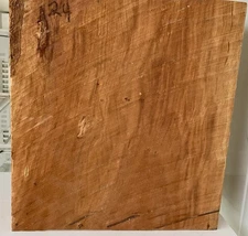 Pear fresh cut green Bowl Blank turning wood Pen Blank 1-pcs. 3”x9”x10”  P-24