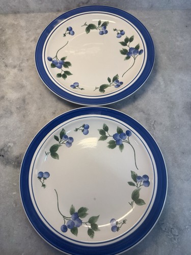 LL Bean Blaubeere Steinzeug 11" Essteller 2er Set Muster im Ruhestand