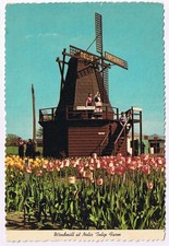 Postcard Windmill At Nelis Tulip Farm Holland Michigan