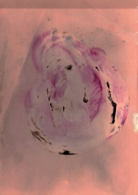 Tonito Original art Chemigram.KODAK Silver photo Paper.Alternative photography 9