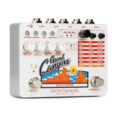 Electro-Harmonix Grand Canyon Delay Looper