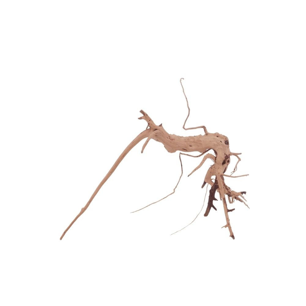 Radice Acquario Decorazione Siennawurzel Mangrovie Acquatiche Vero Legno M foto 2