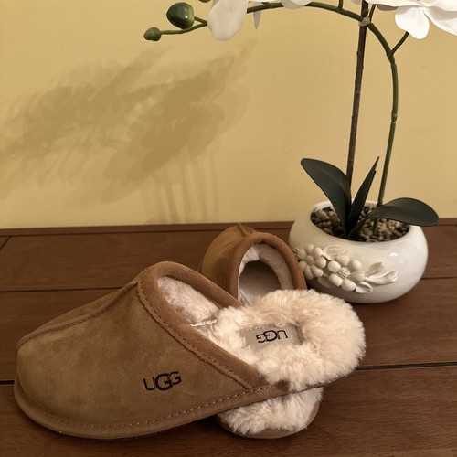 UGG nuova con scatola pantofole scruff perle foderate in shearling castagno donna US 5 EU 36 - Foto 3 di 12