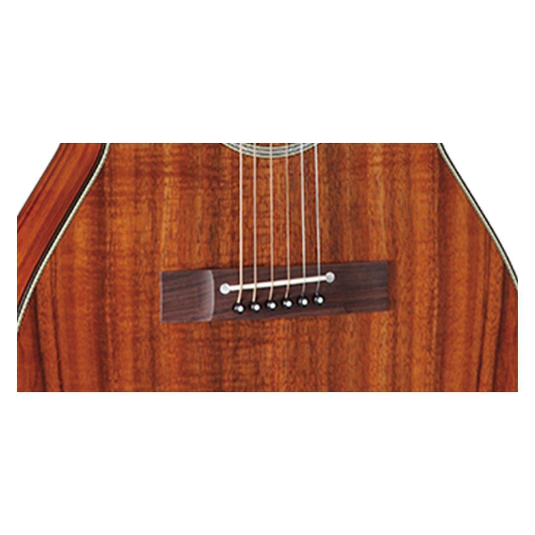 ギター takamine PT407 Takamine EF407 Made in Japan Orchestra Acoustic Electric