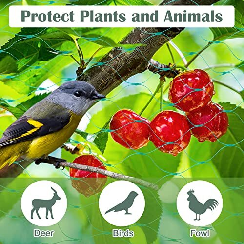 Red de malla antipájaros de 13x33Ft para red de plantas reutilizable para  jardín