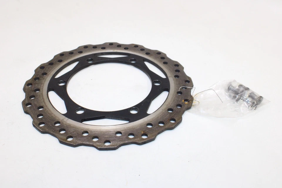 Kawasaki KLR650 2018 OEM rotor trasero disco de freno trasero Foto 4 de 4