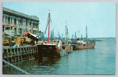Postcard Fishing Boats Fish Pier Boston Harbor MA Mass