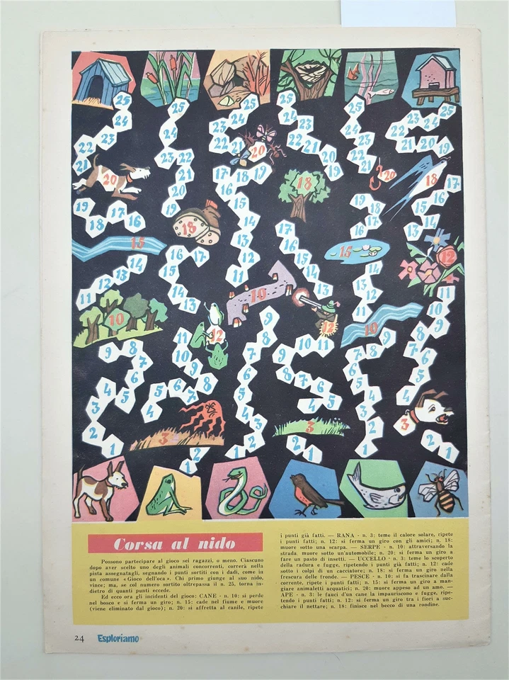 Esploriamo numero speciale per le vacanze Albi attivi dei ragazzi numero 12 1957 - Immagine 2 di 4