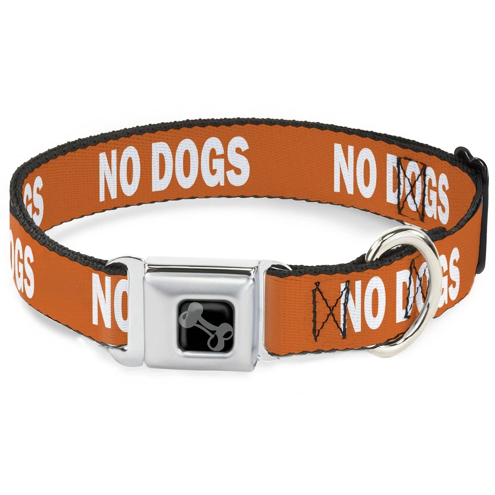 Dog Collar Bone Pet Quote NO DOGS Orange/White WIDE-Small 13-17"