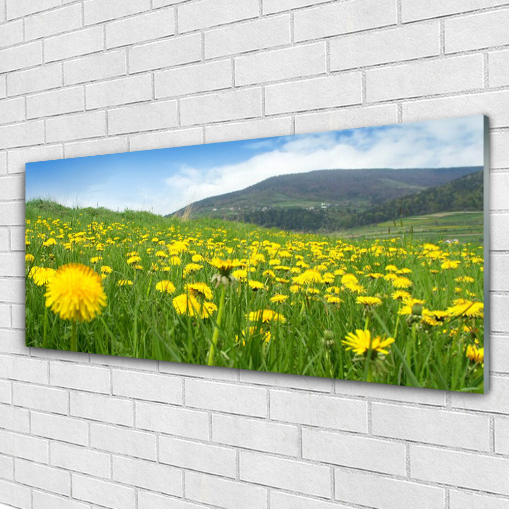 Tableau nature pissenlit en plexiglas 125x50 cm pour créer un salon zen et lumineux