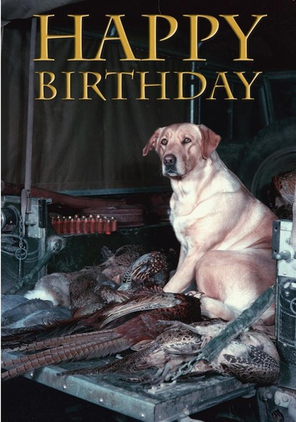 GlüCkwunschkarte Happy Birthday Karte Geburtstagskarte Vintage Labrador-image