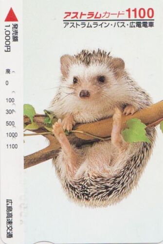 Carte JAPON - ANIMAL - HERISSON - HEDGEHOG JAPAN prepaid ticket card - IGEL - Photo 1/1