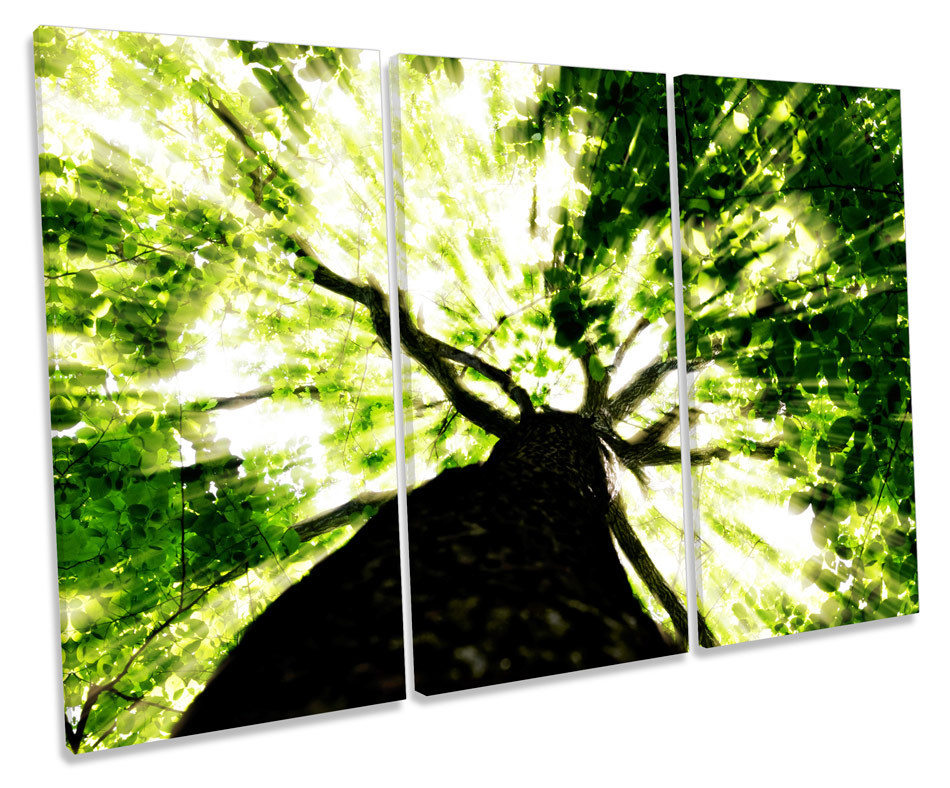 Forest Sky Floral TREBLE CANVAS WALL ART Box Framed Print eBay