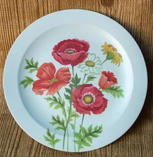 National Home Products Inc Artisan Ware 1 Plate