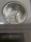 1923 peace dollar ms63 ngc + 1923 s Ready to Grade 2 Coin Lot — photo 4