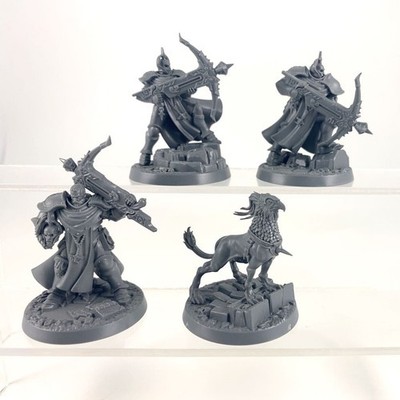 X1 Easy To Build Castigators With Gryph-Hound (Legend) Plastic Warhammer AOS