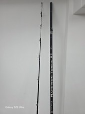 Harrison Torrix P2 Custom Build Beachcaster.