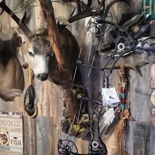 Bowtech CP30 Compound Bow Deadlock Cam System Black MPN CP30 for Men Women