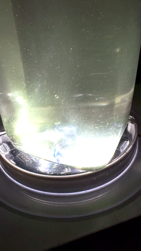 3 BOTTLES OF LIVE COPEPODS TISBE TIGGER APEX PODS + PHYTOPLANKTON | Free Ship!! - Video 1 of 1