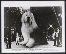 Digby The Biggest Dog In The World ’74 GIANT DOG IN A CIRCUS TENT