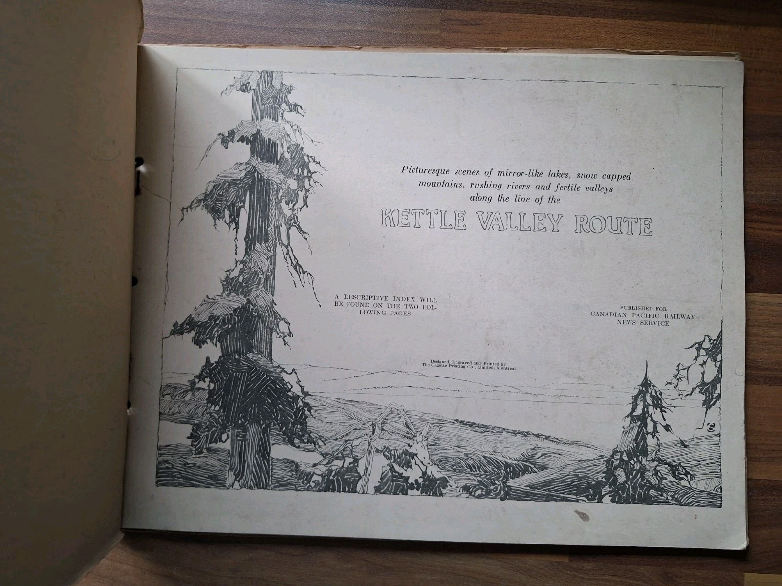 Picture 3