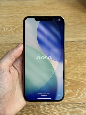 Apple iPhone 12 Pro Max - 256GB - Entsperrt - Neuer Apple Akku 100% Zustand