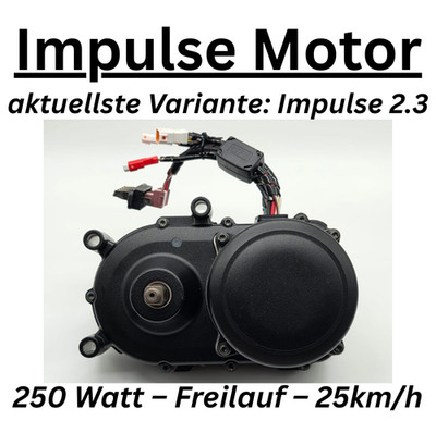 E-Bike Motor Derby Cycle Impulse 2.3 - 36V/250W - Freilauf Version